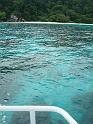 Similan2 (50)